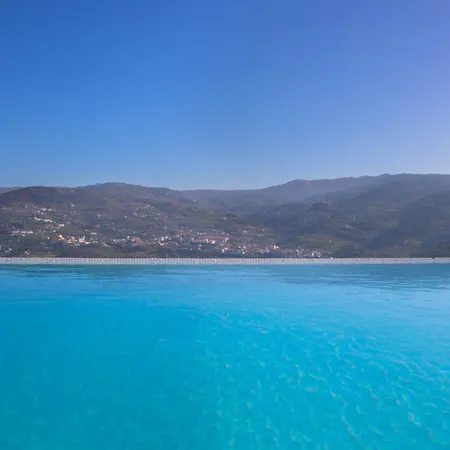 Quinta Da Portinha, Stunning Views Of The Douro River Feriehus Covelas (Porto)