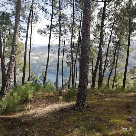 Feriehus Quinta Da Portinha, Stunning Views Of The Douro River *