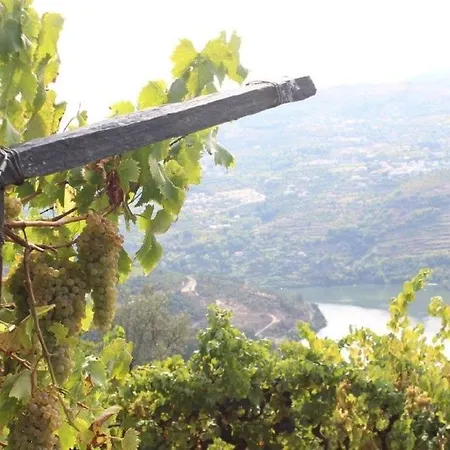 Quinta Da Portinha, Stunning Views Of The Douro River Feriehus *