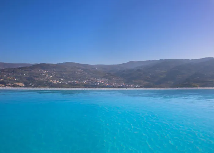Quinta Da Portinha, Stunning Views Of The Douro River Feriehus Covelas (Porto)