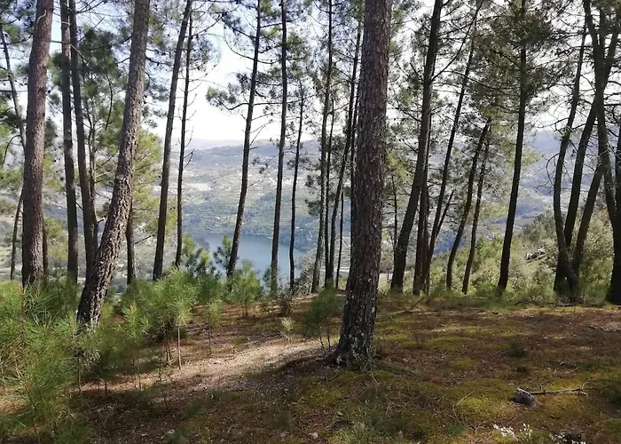 Feriehus Quinta Da Portinha, Stunning Views Of The Douro River *