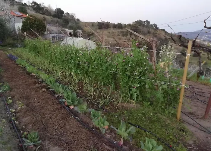 Quinta Da Portinha, Stunning Views Of The Douro River Feriehus Covelas (Porto)