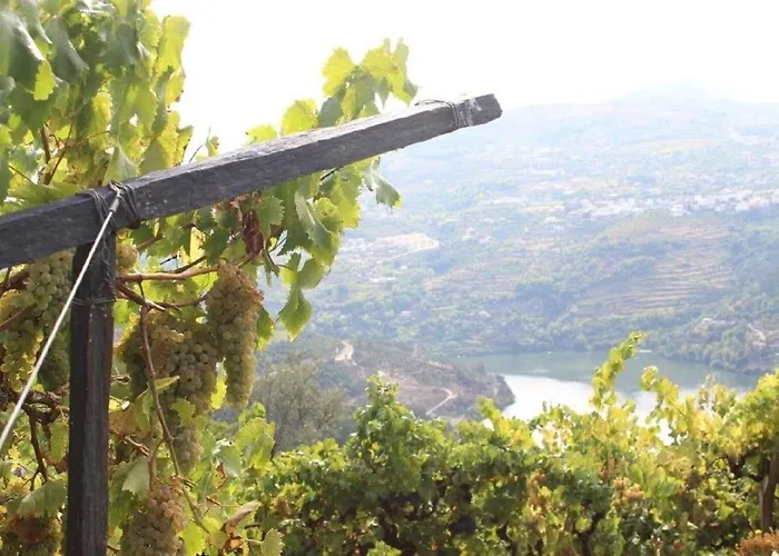 Quinta Da Portinha, Stunning Views Of The Douro River Feriehus *