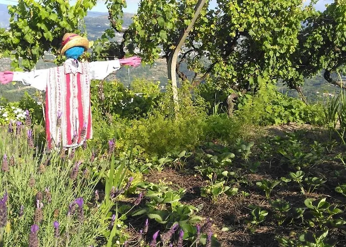 Quinta Da Portinha, Stunning Views Of The Douro River Feriehus Covelas (Porto)