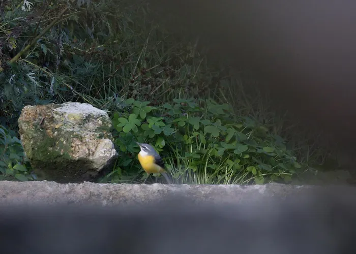 Quinta Da Portinha, Stunning Views Of The Douro River 펜션